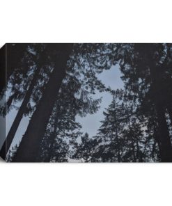 Broadmead Victoria BC Deluxe Landscape Canvas 1.5in Frame