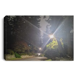 Twilight Victoria British Columbia Landscape Canvas .75in Frame