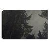 Victoria British Columbia rainy fall night Landscape Canvas .75in Frame
