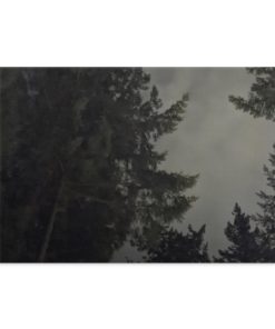 Victoria British Columbia rainy fall night Landscape Canvas .75in Frame