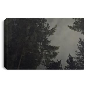 Victoria British Columbia rainy fall night Landscape Canvas .75in Frame