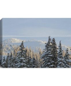 Mount Washington Vancouver Island Deluxe Landscape Canvas 1.5in Frame