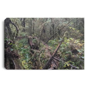 Tofino British Columbia Long Beach Landscape Canvas .75in Frame