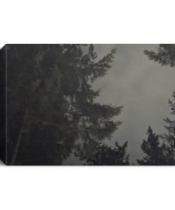 Victoria British Columbia rainy fall night CANLA15 Deluxe Landscape Canvas 1.5in Frame