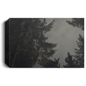 Victoria British Columbia rainy fall night CANLA15 Deluxe Landscape Canvas 1.5in Frame