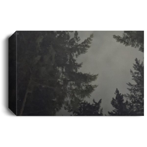 Victoria British Columbia rainy fall night CANLA15 Deluxe Landscape Canvas 1.5in Frame