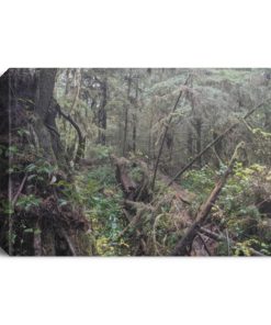 Tofino British Columbia Long Beach  Deluxe Landscape Canvas 1.5in Frame