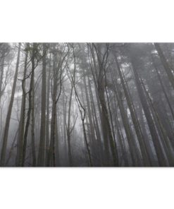 Mount Douglas Park Victoria BC Landscape Canvas .75in Frame