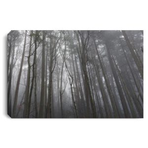 Mount Douglas Park Victoria BC Landscape Canvas .75in Frame