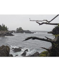 Ucluelet Wild Pacific Trail British Columbia Landscape Canvas .75in Frame