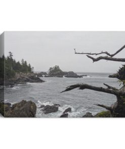 Ucluelet Wild Pacific Trail British Columbia Deluxe Landscape Canvas 1.5in Frame