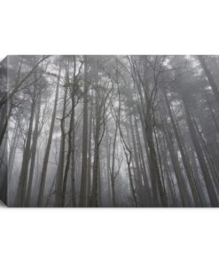 Mount Douglas Victoria British Columbia Deluxe Landscape Canvas 1.5in Frame