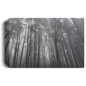 Mount Douglas Victoria British Columbia Deluxe Landscape Canvas 1.5in Frame