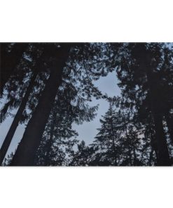 Broadmead Victoria BC Landscape Canvas .75in Frame