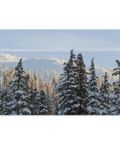 Mount Washington Vancouver Island Landscape Canvas .75in Frame