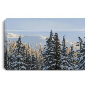 Mount Washington Vancouver Island Landscape Canvas .75in Frame